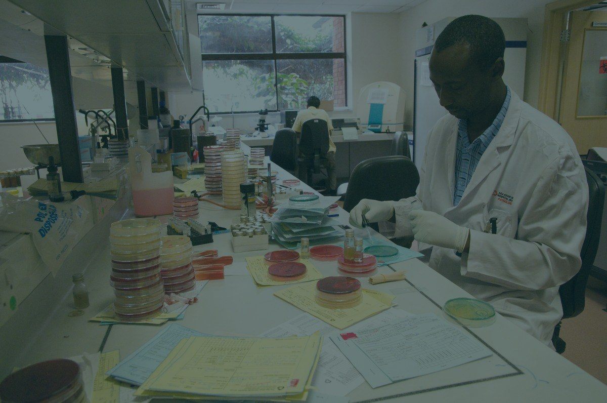 Laboratory team at work